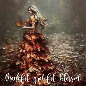 Meet your Posher, Misty